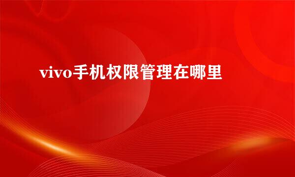 vivo手机权限管理在哪里