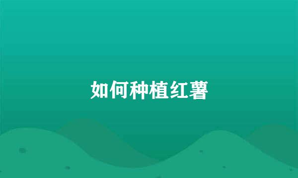 如何种植红薯