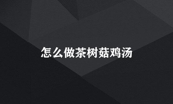 怎么做茶树菇鸡汤
