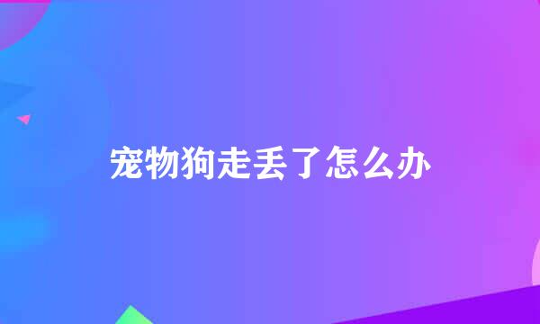 宠物狗走丢了怎么办