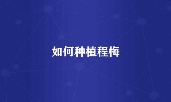 如何种植程梅