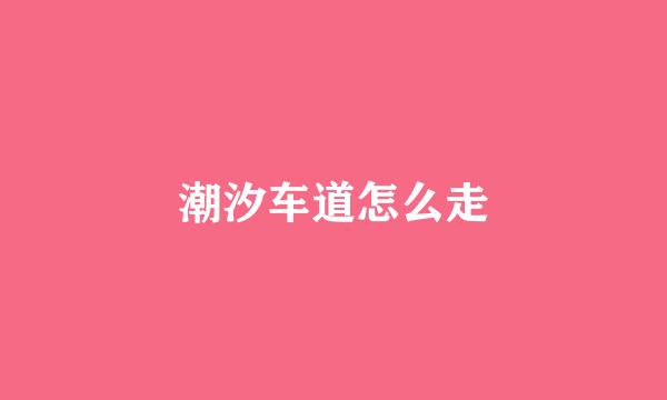 潮汐车道怎么走