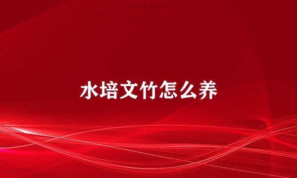 水培文竹怎么养