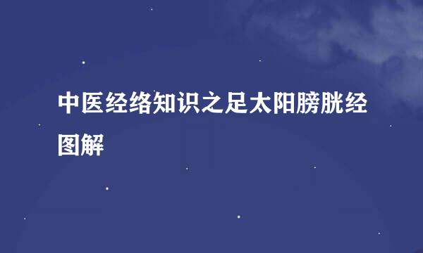 中医经络知识之足太阳膀胱经图解
