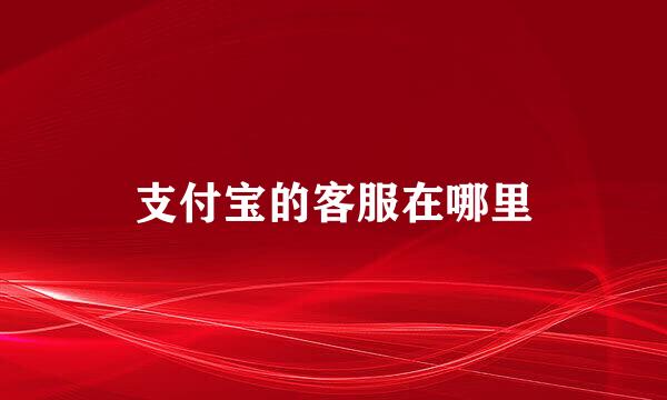 支付宝的客服在哪里