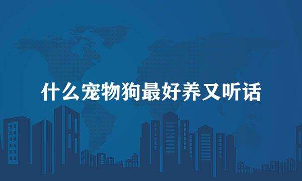 什么宠物狗最好养又听话
