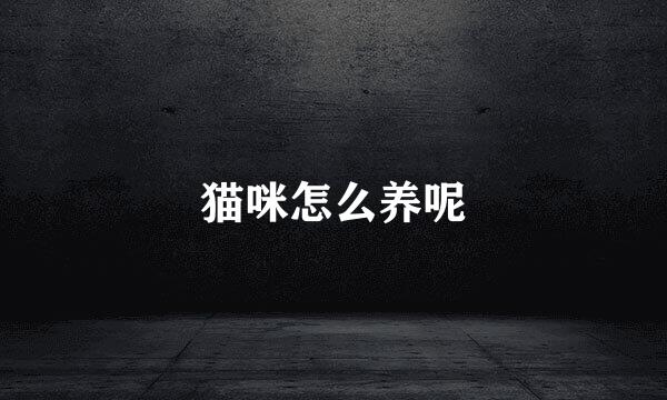 猫咪怎么养呢