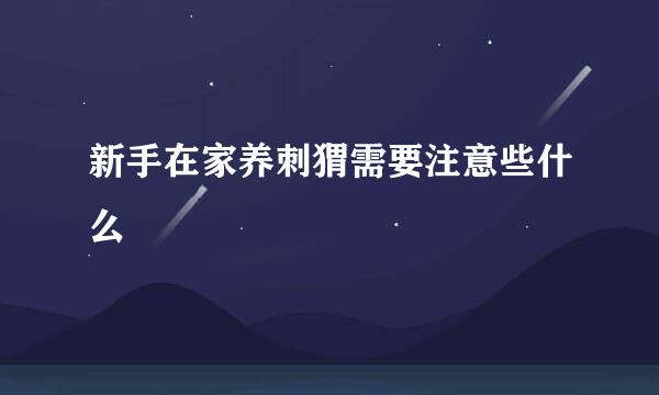 新手在家养刺猬需要注意些什么