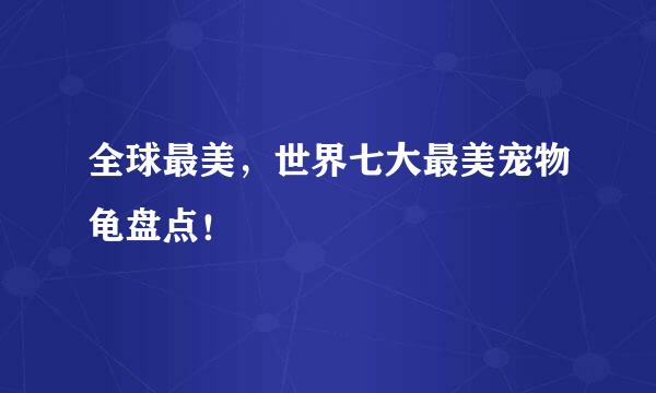 全球最美，世界七大最美宠物龟盘点！