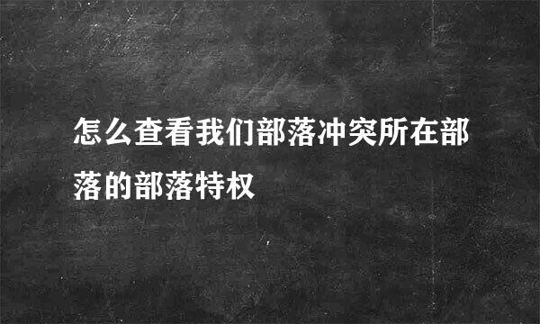 怎么查看我们部落冲突所在部落的部落特权