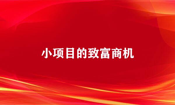 小项目的致富商机