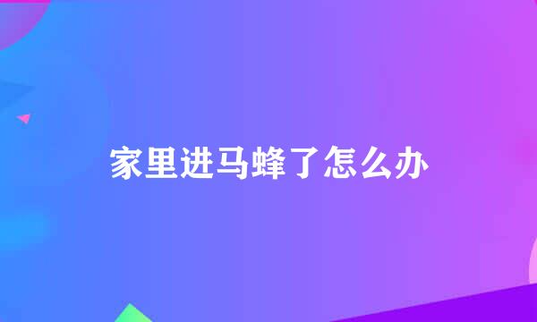 家里进马蜂了怎么办