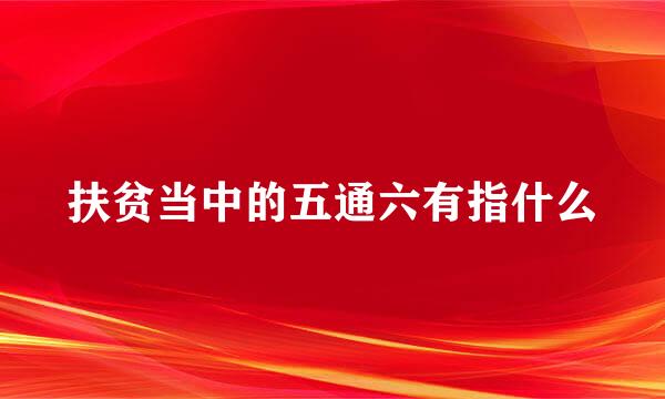 扶贫当中的五通六有指什么