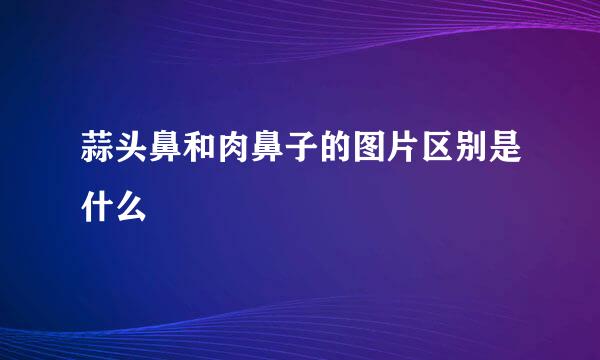 蒜头鼻和肉鼻子的图片区别是什么