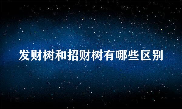 发财树和招财树有哪些区别