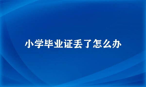 小学毕业证丢了怎么办