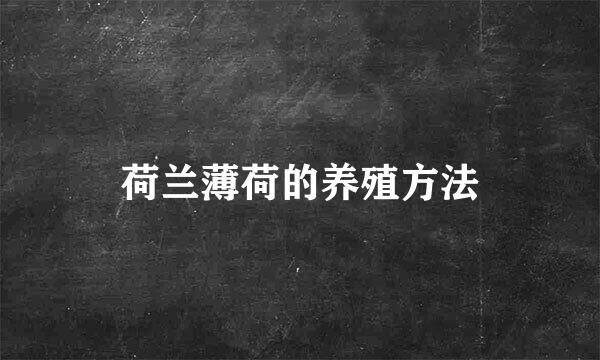 荷兰薄荷的养殖方法