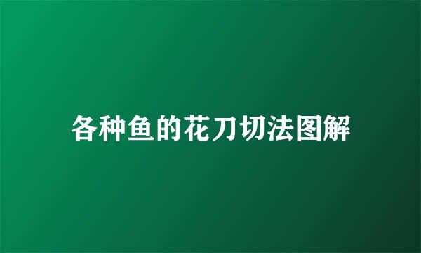 各种鱼的花刀切法图解