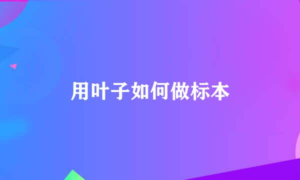 用叶子如何做标本