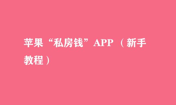 苹果“私房钱”APP （新手教程）