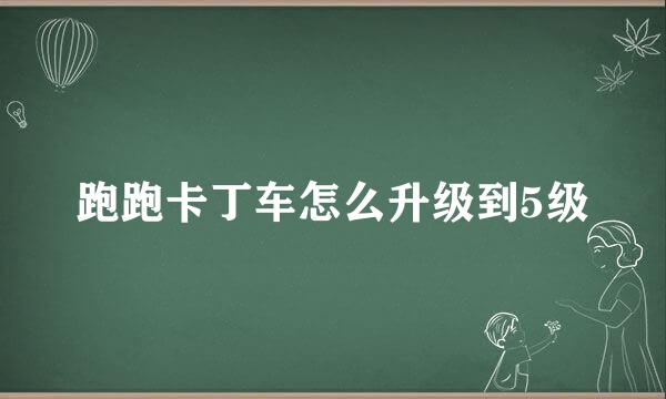 跑跑卡丁车怎么升级到5级