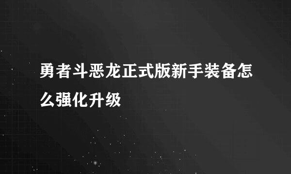 勇者斗恶龙正式版新手装备怎么强化升级