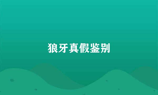 狼牙真假鉴别