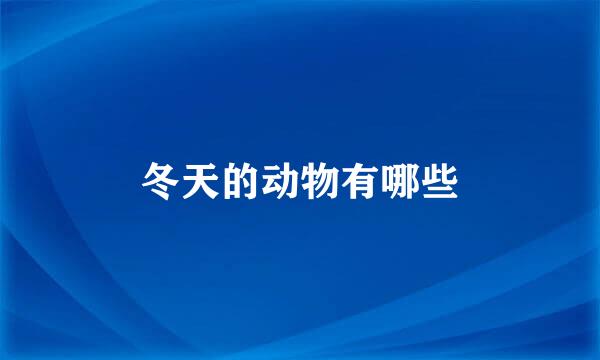 冬天的动物有哪些