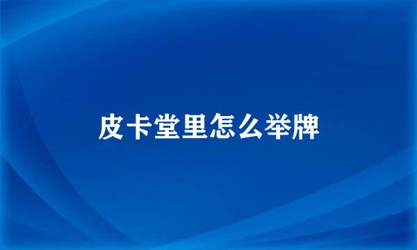 皮卡堂里怎么举牌