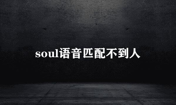 soul语音匹配不到人