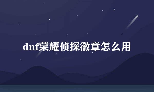 dnf荣耀侦探徽章怎么用