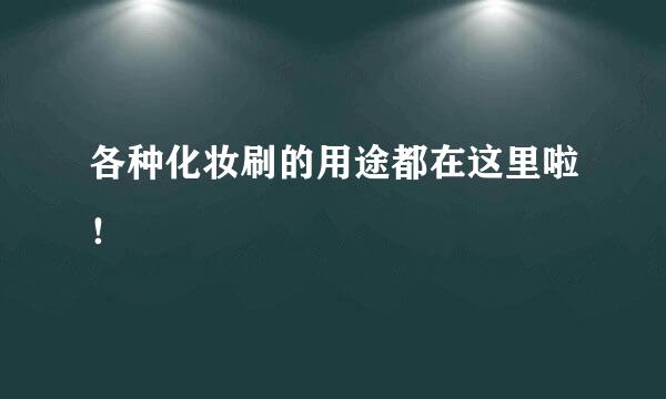 各种化妆刷的用途都在这里啦！