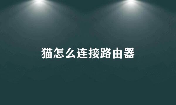 猫怎么连接路由器