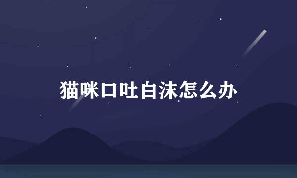 猫咪口吐白沫怎么办