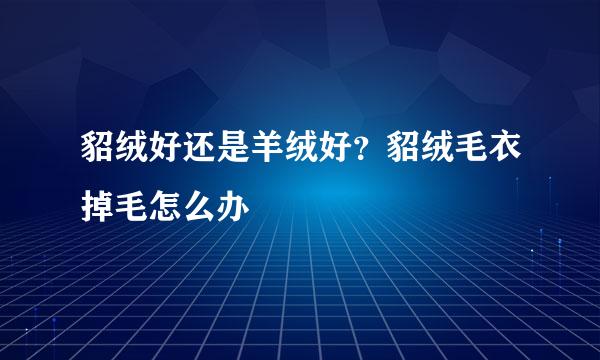 貂绒好还是羊绒好？貂绒毛衣掉毛怎么办