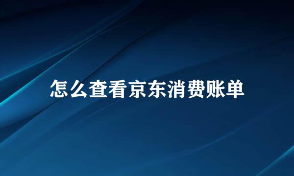 怎么查看京东消费账单