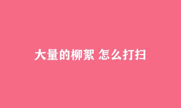 大量的柳絮 怎么打扫