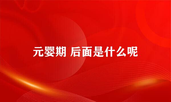 元婴期 后面是什么呢
