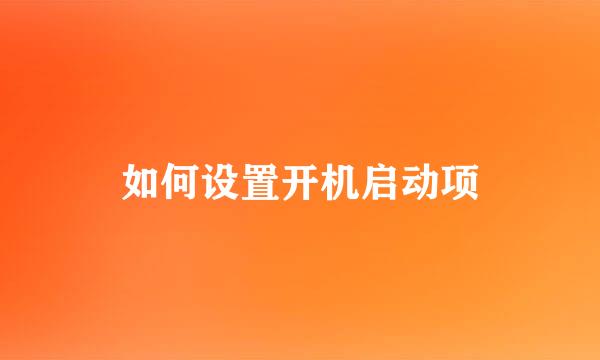 如何设置开机启动项
