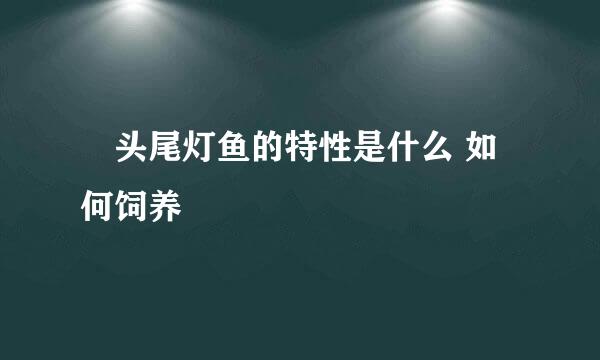 ​头尾灯鱼的特性是什么 如何饲养
