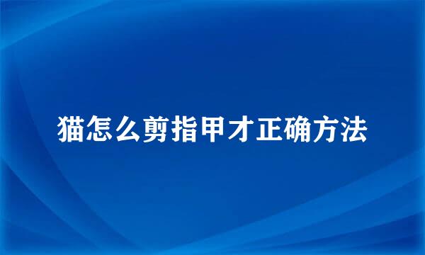猫怎么剪指甲才正确方法
