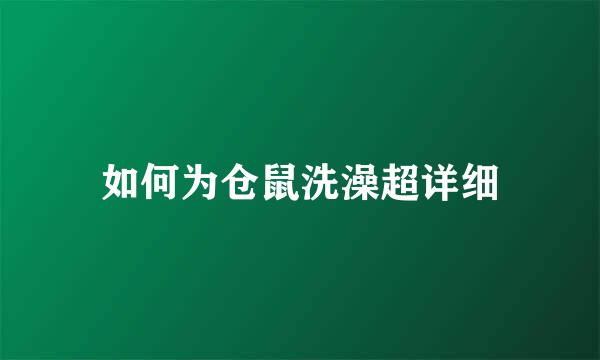 如何为仓鼠洗澡超详细