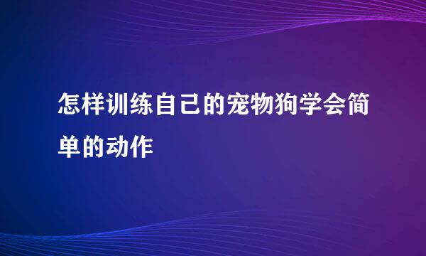 怎样训练自己的宠物狗学会简单的动作