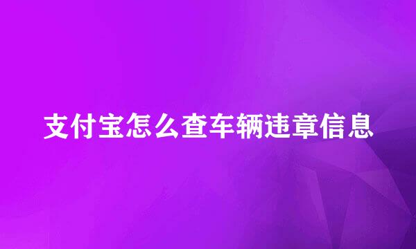 支付宝怎么查车辆违章信息