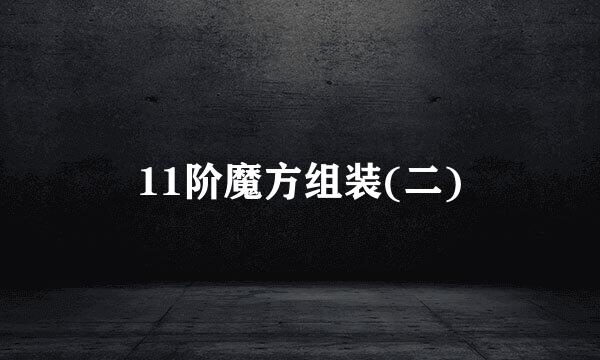 11阶魔方组装(二)