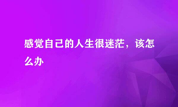 感觉自己的人生很迷茫，该怎么办