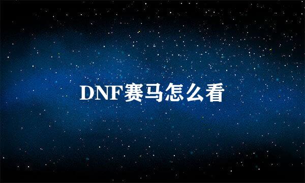 DNF赛马怎么看
