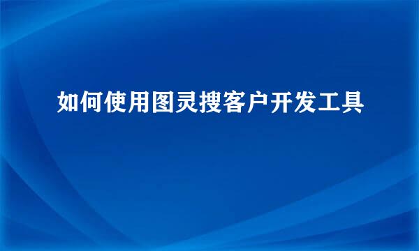 如何使用图灵搜客户开发工具