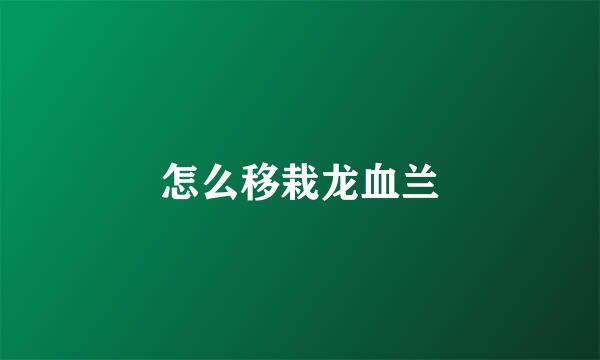 怎么移栽龙血兰