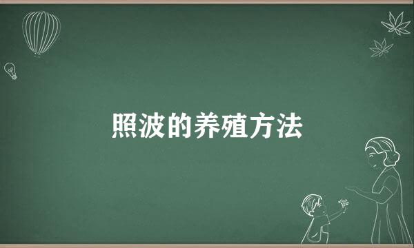 照波的养殖方法
